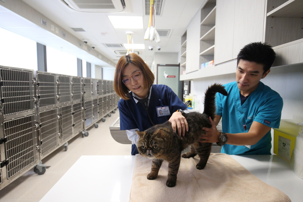 　　圖：新中心希望給予主人及寵物更優質的獸醫護理服務\大公報記者麥潤田攝