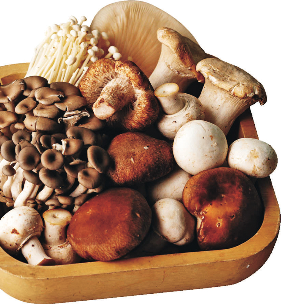 　　圖：不同菇菌的營養價值大不同