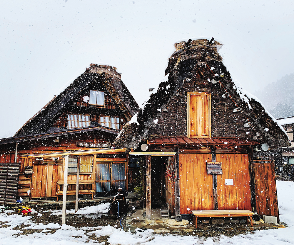 　　圖：合掌村的茅草房