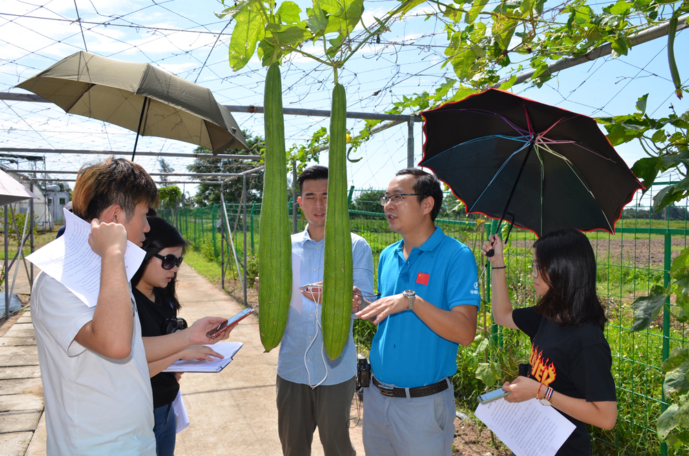 　　圖：學子們觀看海南航天工程育種研發中心培育的「航天絲瓜」\大公報實習記者張童攝