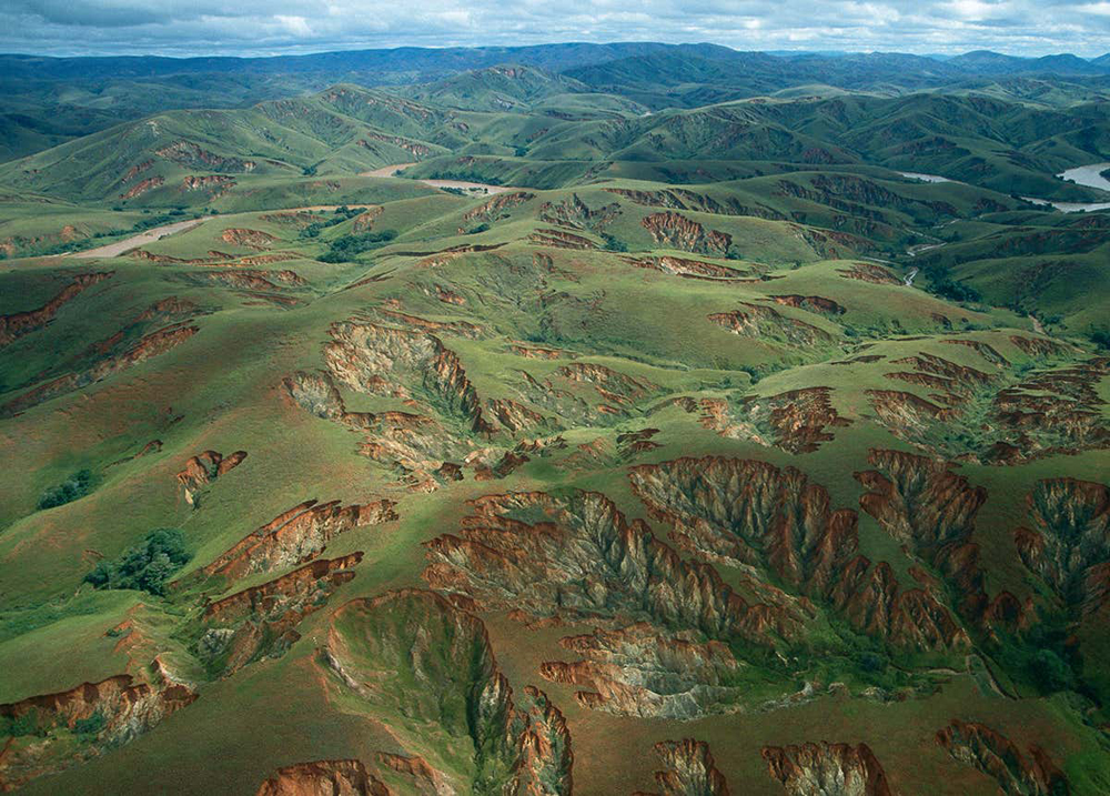 　　圖：馬達加斯加的森林砍伐已令許多植物滅絕\網絡圖片