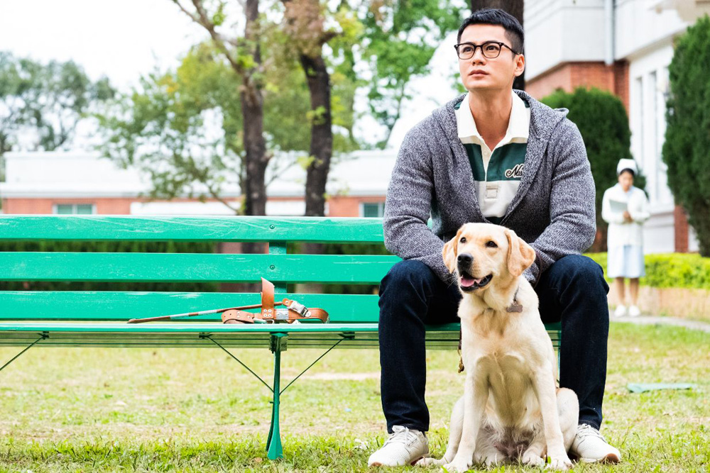 　　圖：羅仲謙在新片中演導盲犬導師\劇照