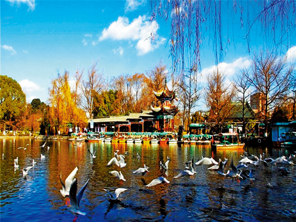 　　圖：昆明翠湖公園\資料圖片