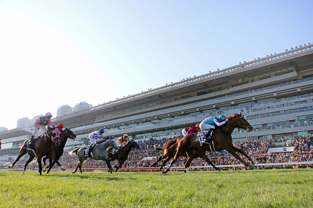 　　圖：沙田馬場昨日的「浪琴表香港國際賽事」投注額創新高