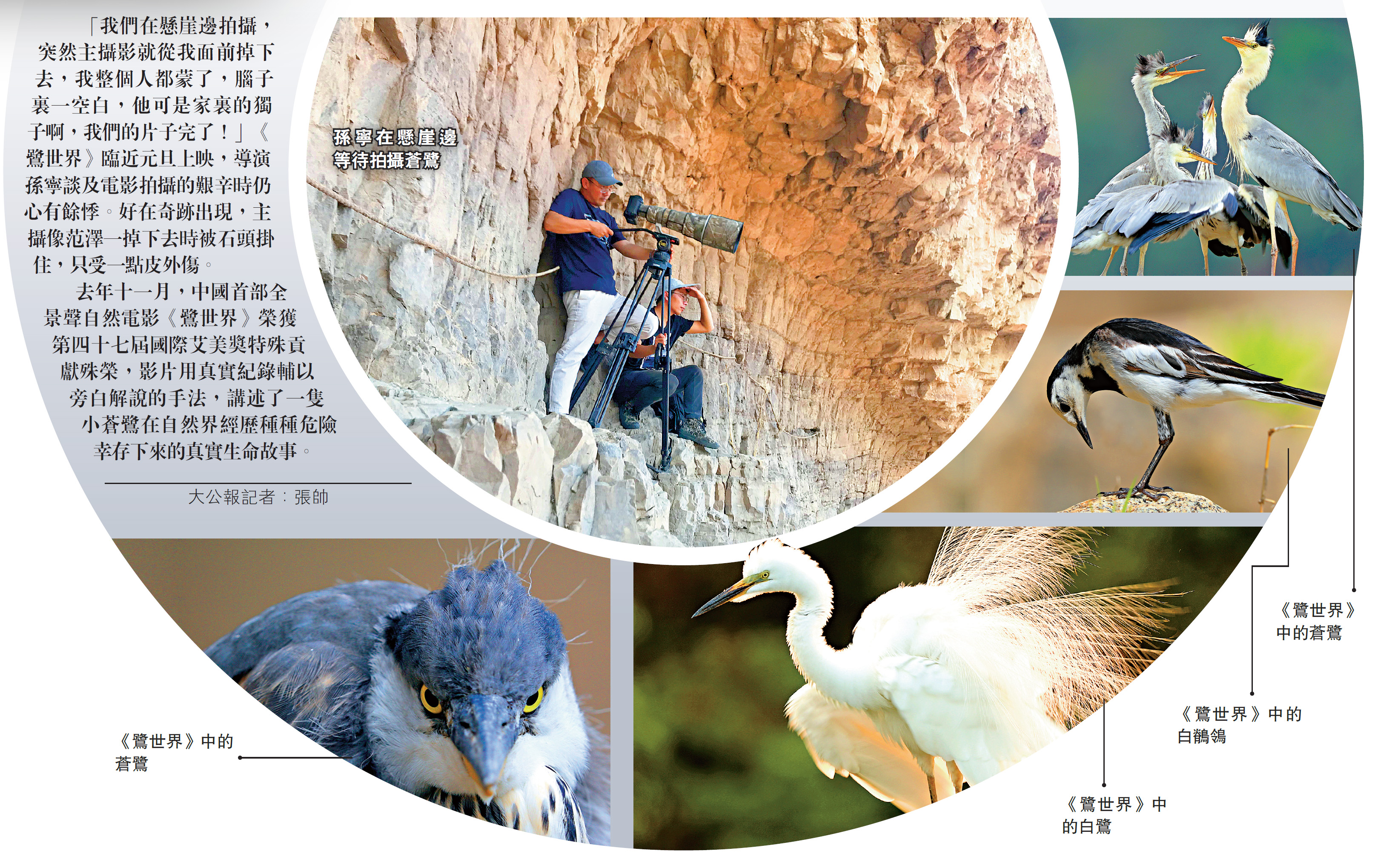 　　圖：孫寧在懸崖邊等待拍攝蒼鷺