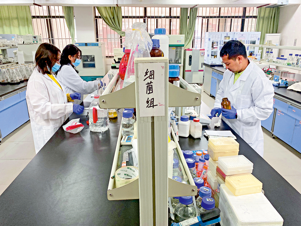 　　圖：緬甸研究院樊薇、索寒在廣西高校微生物與植物資源利用重點實驗室工作/新華社