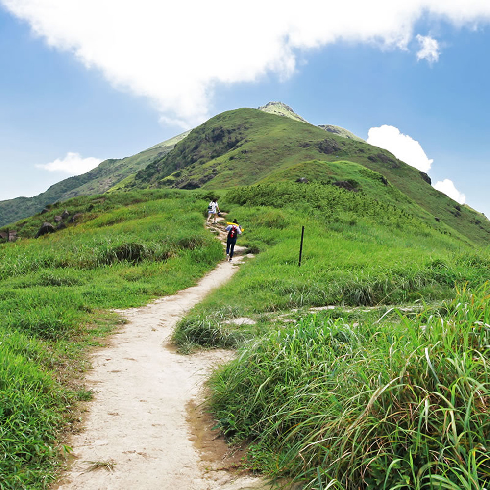 　　圖：鳳凰山位於大嶼山/網絡圖片