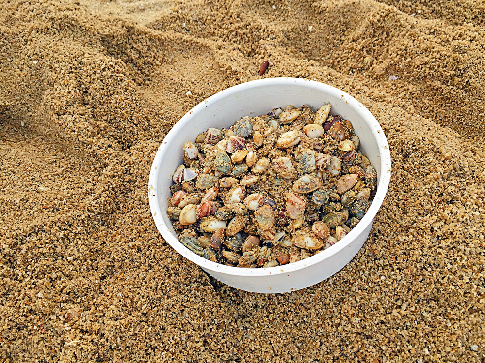 　　圖：摸蜆莫「大小通吃」，避免破壞生態