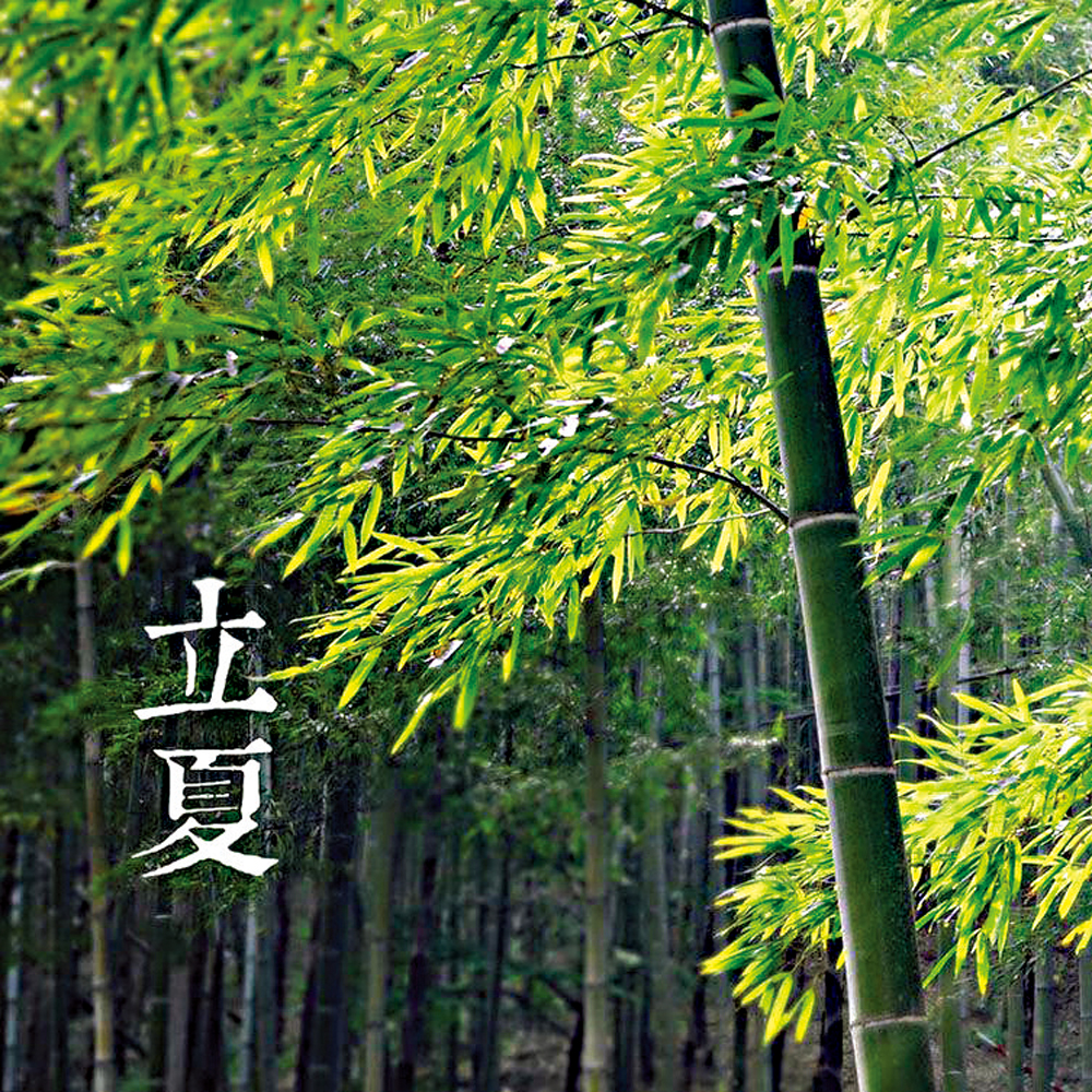 　　圖：立夏是二十四節氣中的第七個節氣/資料圖片