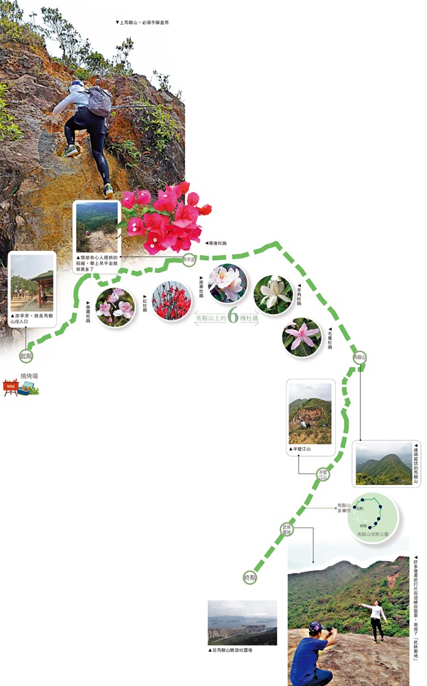 　　圖：上馬鞍山，必須手腳並用