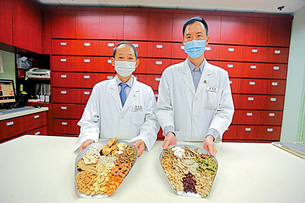 　　圖：張杰能（左）與巢朝棟（右）分別展示主治乏力咳嗽的「參苓白朮散加減」藥材（左前），以及主治味覺與嗅覺障礙的「生脈飲加減」藥材（右前）