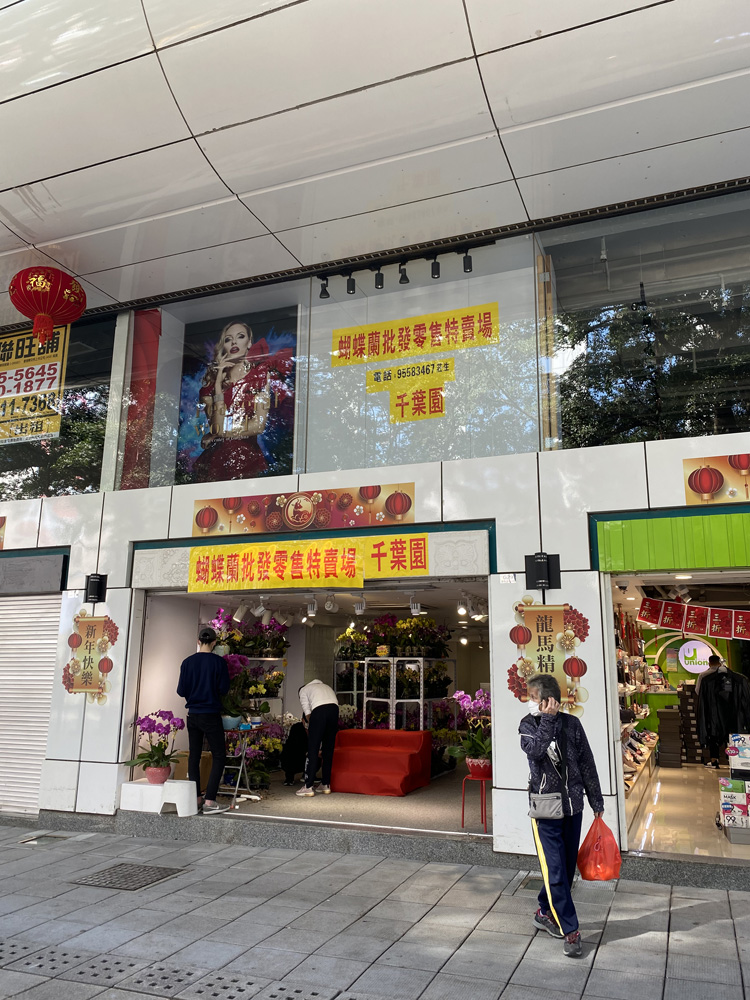 　　圖：尖沙咀栢麗大道商場有街舖已變身成為年花市場。\大公報記者胡家俊攝