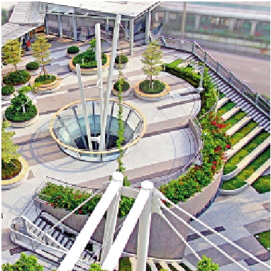 　　圖：建築署以創新設計重建荃灣區西樓角花園，包括把半個公園「升高」，興建一個平台花園，並在平台下興建活動中心。