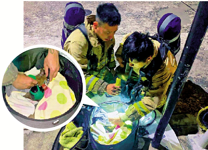 　　圖：洪水橋柏雨花園一單位疑因按摩槍短路起火，釀成七隻貓三死四傷，圖為消防員救出貓隻後即場急救。