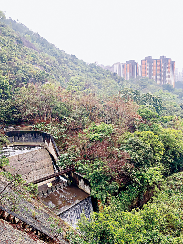 　　圖：已荒廢的佐敦谷水塘水壩。