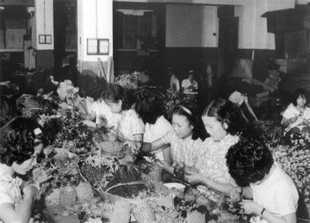 　　圖：圖為上世紀60年代觀塘工廠區一間膠花廠，當時膠花廠是香港製造業命脈之一。