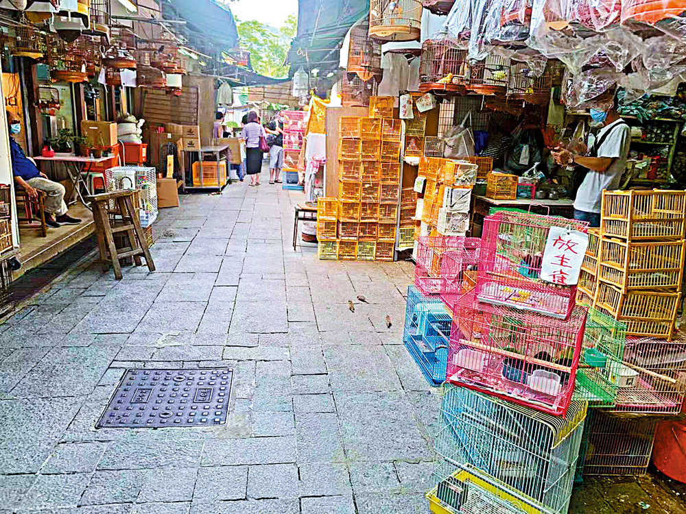 　　圖：短短數十米的雀仔街，多個攤檔均掛有出售放生雀的標示。
