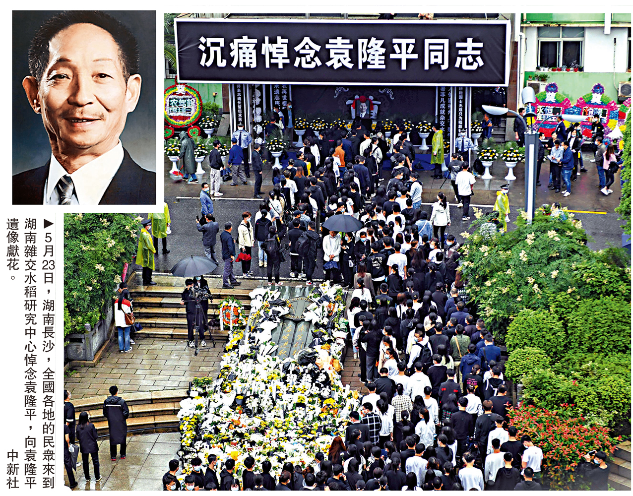 　　圖：5月23日，湖南長沙，全國各地的民眾來到湖南雜交水稻研究中心悼念袁隆平，向袁隆平遺像獻花。\中新社