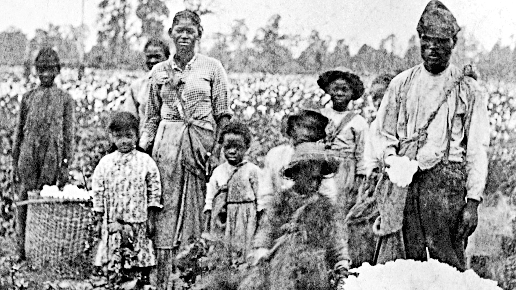 　　圖：南北戰爭前，大批黑奴為南方種植園主摘棉花。\資料圖片