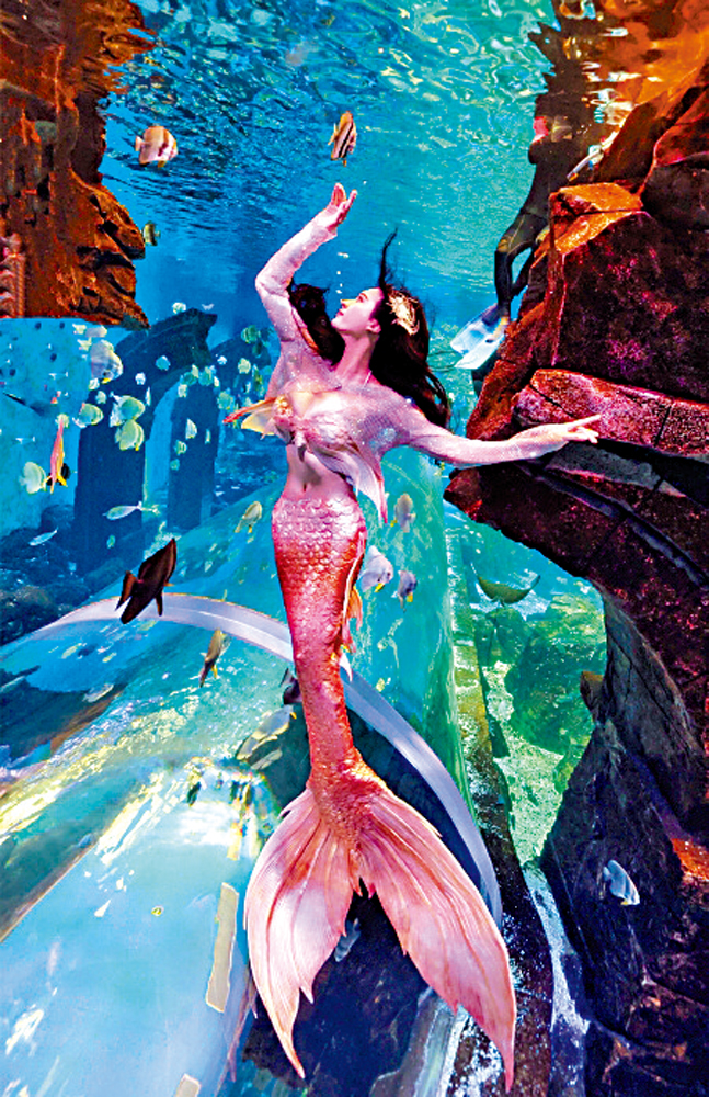 　　圖：化身美人魚的阿楚姑娘。\受訪者供圖