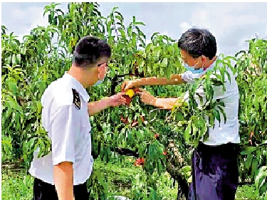 　　圖：奉賢海關指導病蟲害防控和農用化學品使用。\網絡圖片