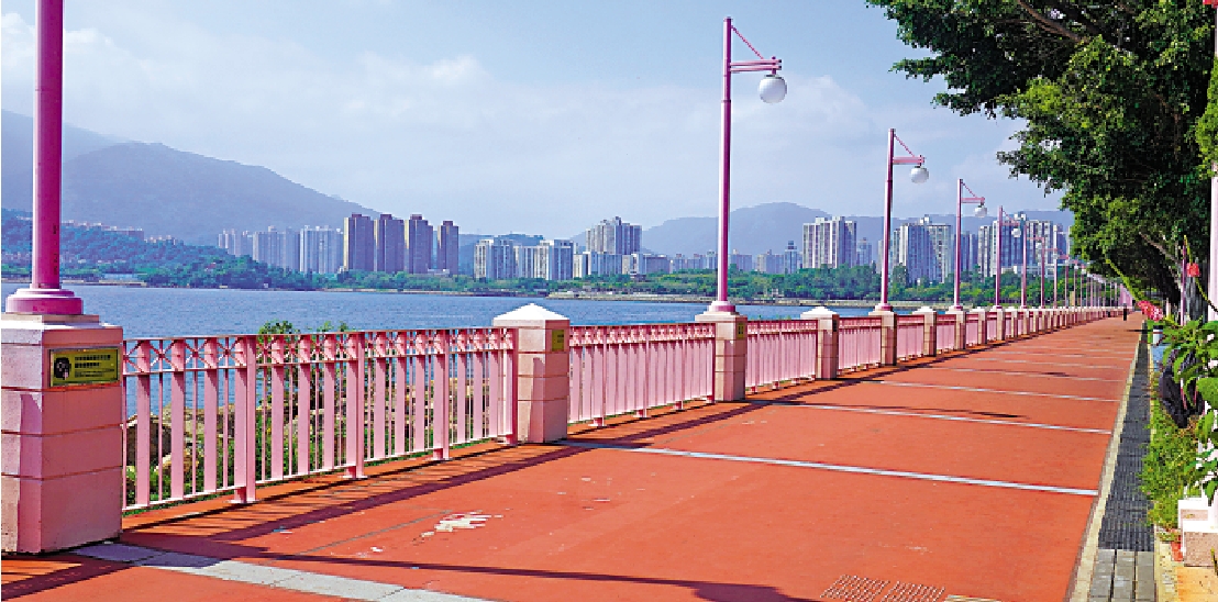 　　圖：位於大埔的海濱長廊以粉紫色為主要色系，頗為夢幻。