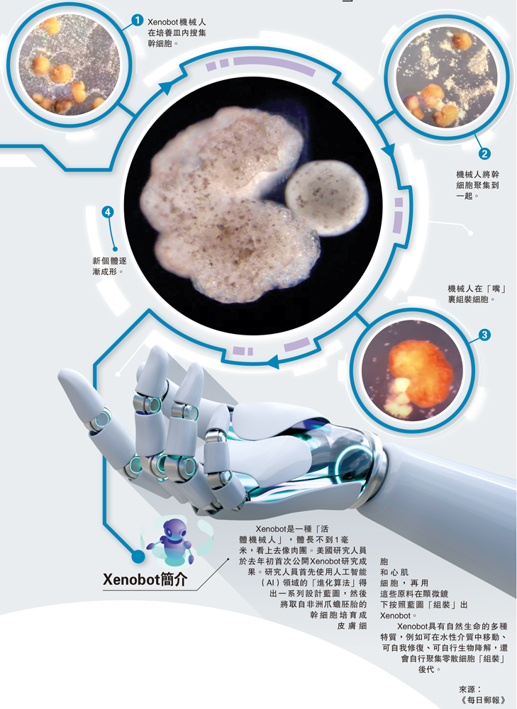 　　圖：Xenobot簡介