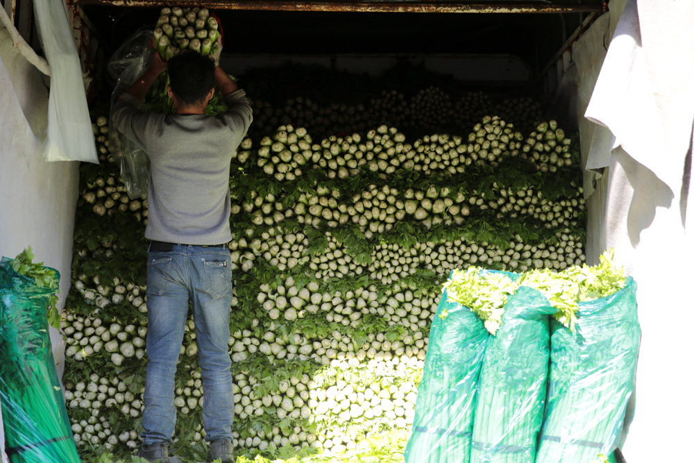 　　圖：西安西部欣橋農產品物流中心內，商戶正在打包蔬菜。\中新社
