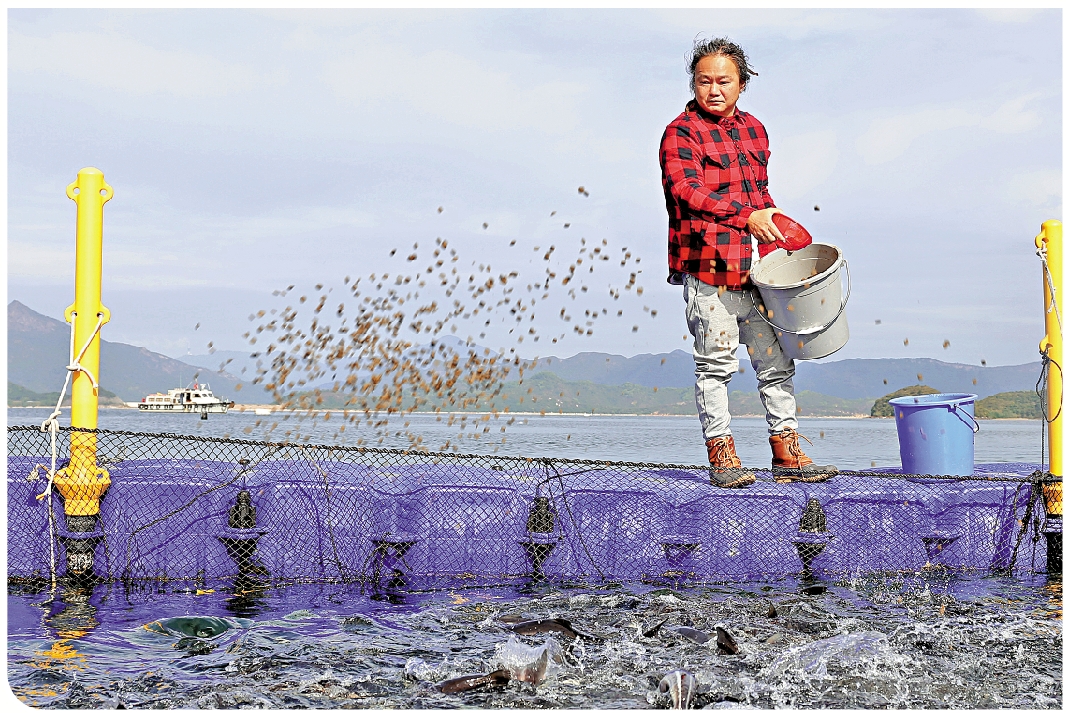 圖:Alex養魚、劏魚、賣魚的方法在香港十分創新,他希望將自己的經驗毫無保留地分享開去。