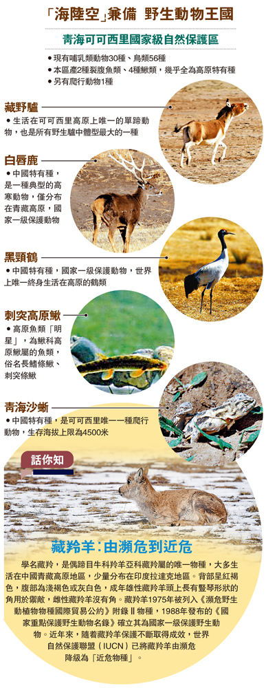 　　圖：「海陸空」兼備 野生動物王國