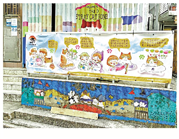 　　圖：「大澳流浪貓之家」位於吉慶街。