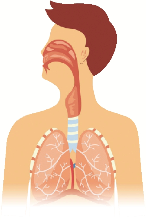 　　圖：部分確診者會出現肺功能異常的後遺症。