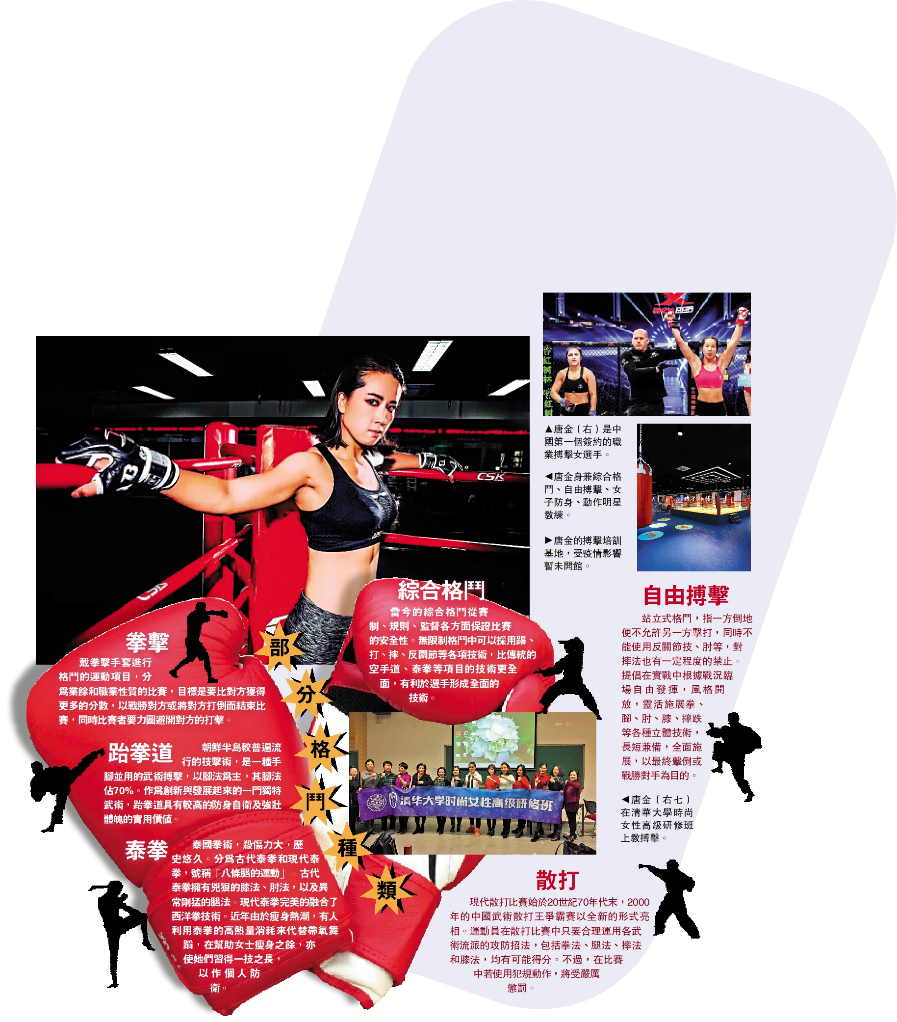 　　圖：部分格鬥種類