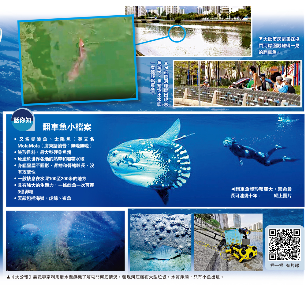 　　圖：《大公報》委託專家利用潛水攝錄機了解屯門河底情況，發現河底滿布大型垃圾，水質渾濁，只有小魚出沒。