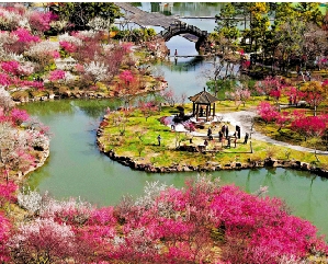 　　圖：遊客在江蘇揚州瘦西湖風景區賞花遊玩。/新華社
