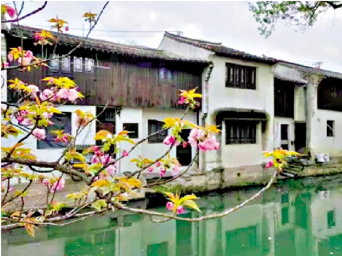 　　圖：江南韻味的水鄉。\作者供圖