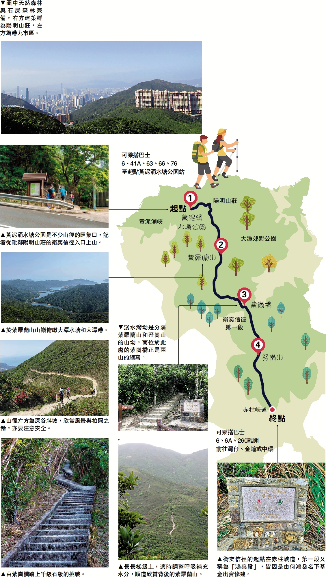 圖:圖中天然森林與石屎森林兼備,右方建築群為陽明山莊,左方為港九市區。