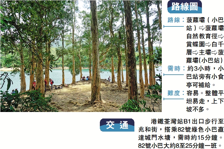 　　圖：「水畔千層」林木交錯，遊人在此打卡兼歇腳。