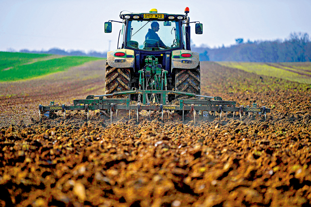 　　圖：全球多地出現食物短缺，英國政府希望利用基因編輯技術化解危機。\法新社