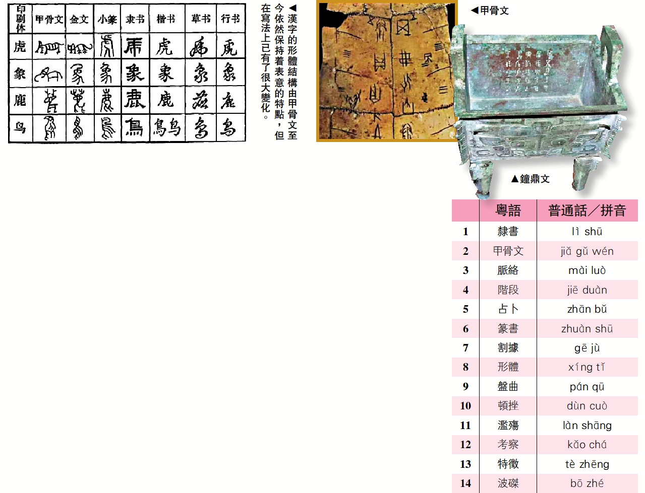 圖:漢字的形體結構由甲骨文至今依然保持着表意的特點,但在寫法上已有了很大變化。