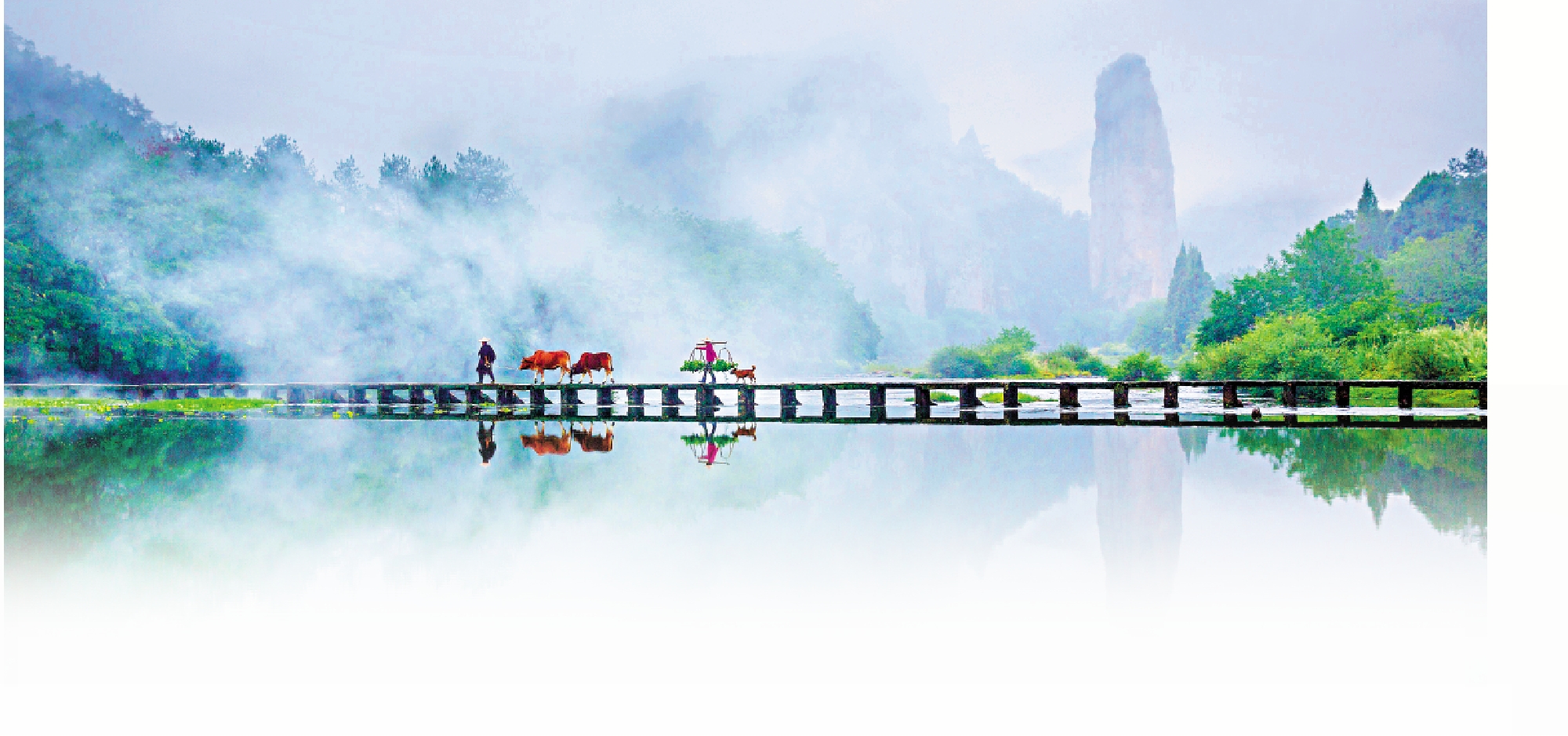 　　圖：吸引無數龍友前來拍攝的「老漢牽牛過橋」場景。\受訪者供圖