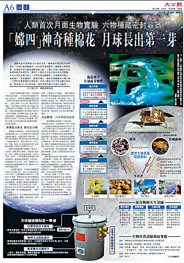 　　圖：圖為2019年1月16日大公報有關「嫦娥四號」種出棉花芽的報道版面。