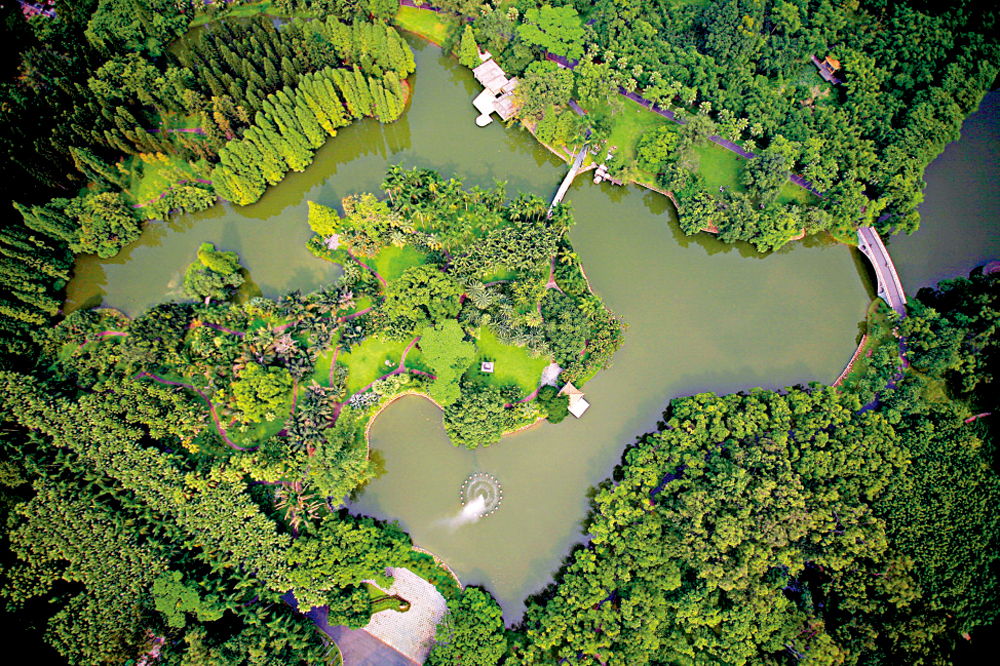 　　圖：華南植物園堅持保護第一。圖為現有的中科院華南植物園園區。\受訪者供圖