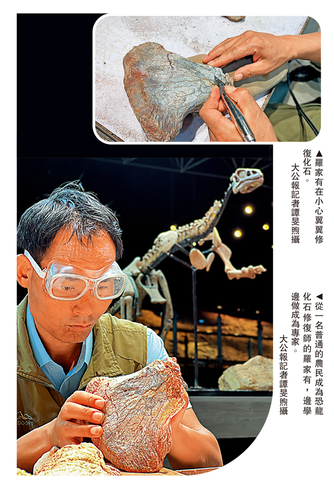 　　上圖：羅家有在小心翼翼修復化石。下圖：從一名普通的農民成為恐龍化石修復師的羅家有，邊學邊做成為專家。\大公報記者譚旻煦攝