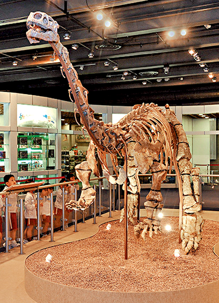 　　圖：「阿納雲香」在香港科學館展出時吸引眾多小觀眾參觀。 
