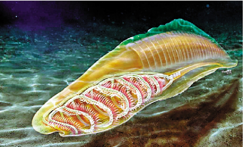 　　圖：生活在寒武紀時期的雲南蟲生態復原圖。