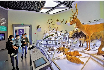 　　圖：家長帶着小朋友在澄江化石地世界自然遺產博物館參觀。/新華社