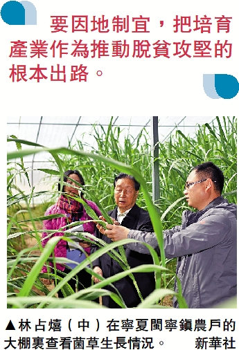　　圖：林占熺（中）在寧夏閩寧鎮農戶的大棚裏查看菌草生長情況。\新華社