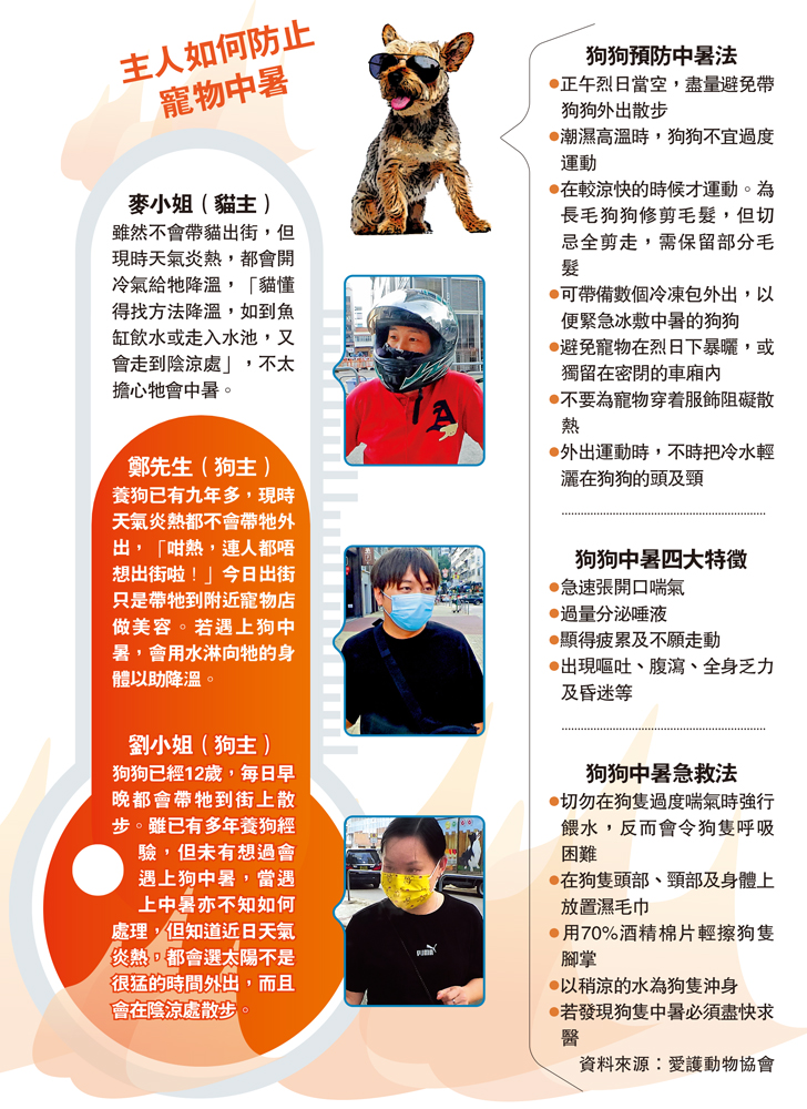 　　圖：主人如何防止寵物中暑