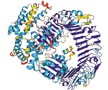 　　圖：AlphaFold可對2億個蛋白質結構進行準確預測。 《自然》